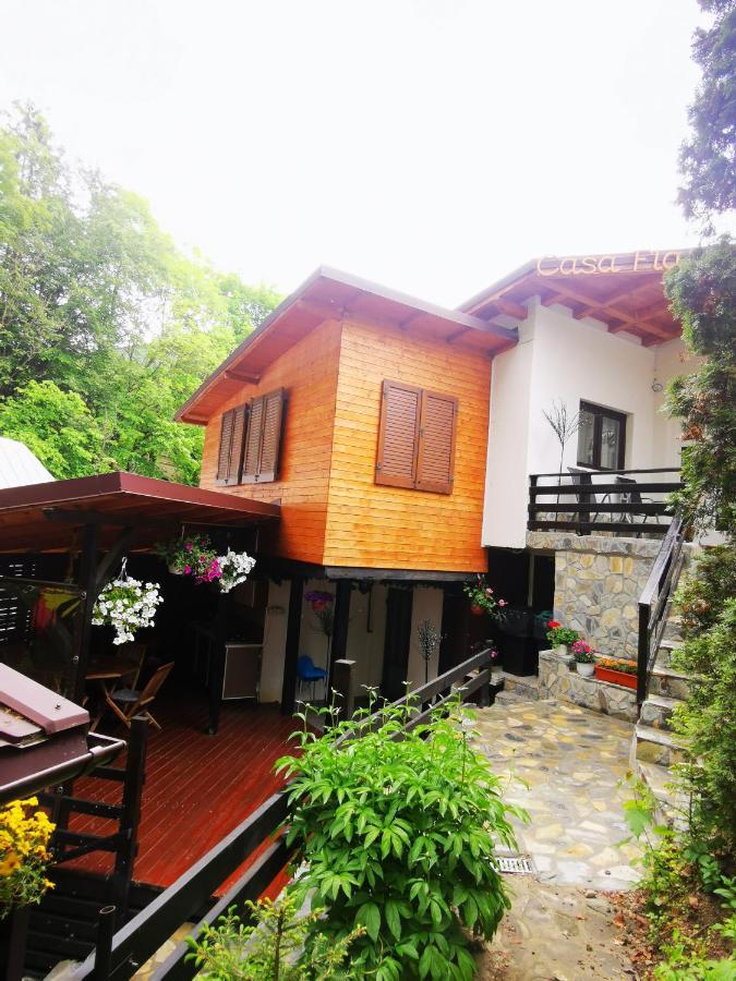 Casa Flandria Gasthof