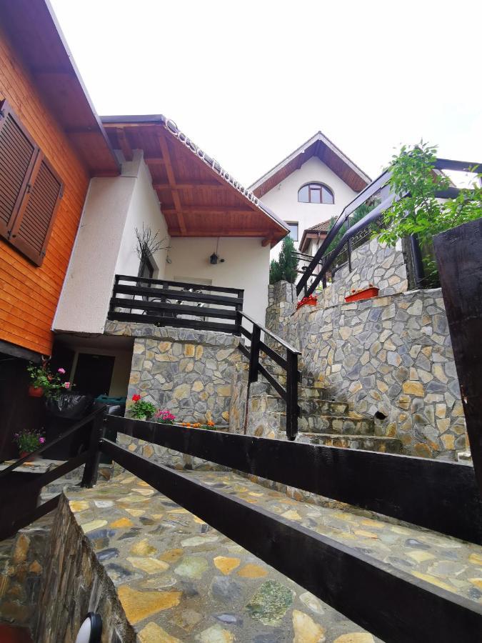 Casa Flandria Gasthof Sinaia