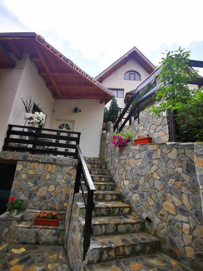 Casa Flandria