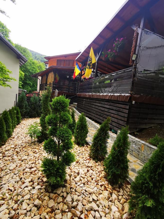 Casa Flandria Gasthof Sinaia